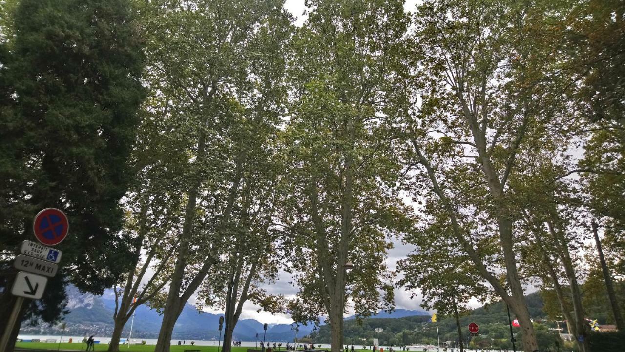 Residence Albigny Studio Vue Sur Lac Centre-Ville D'Annecy Exteriör bild